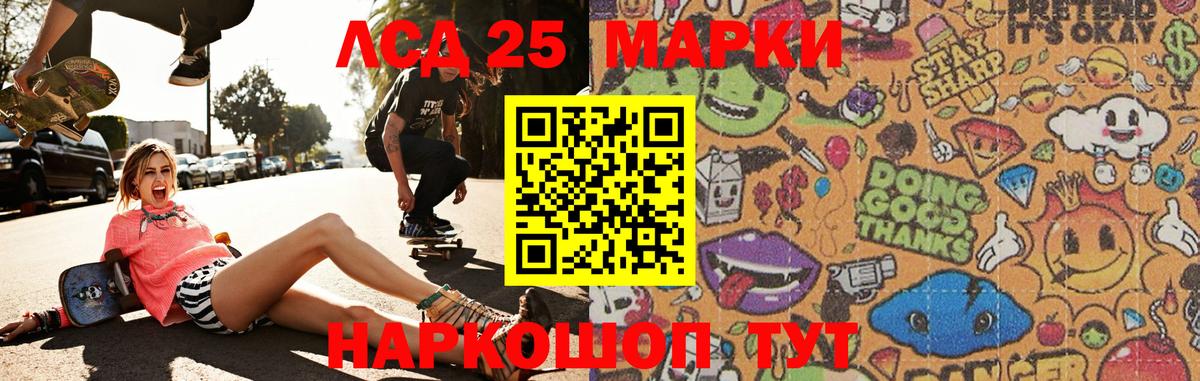 ЛСД экстази ecstasy  Вход с VPN  Новозыбков  ЛСД экстази  Лсд 25 экстази ecstasy 