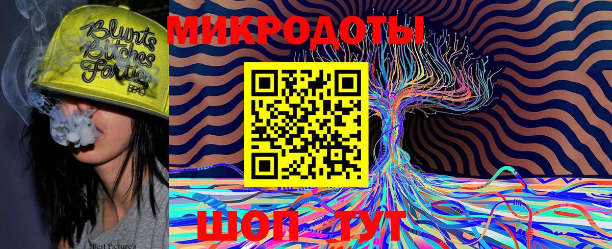 Псилоцибиновые грибы мухоморы Новозыбков