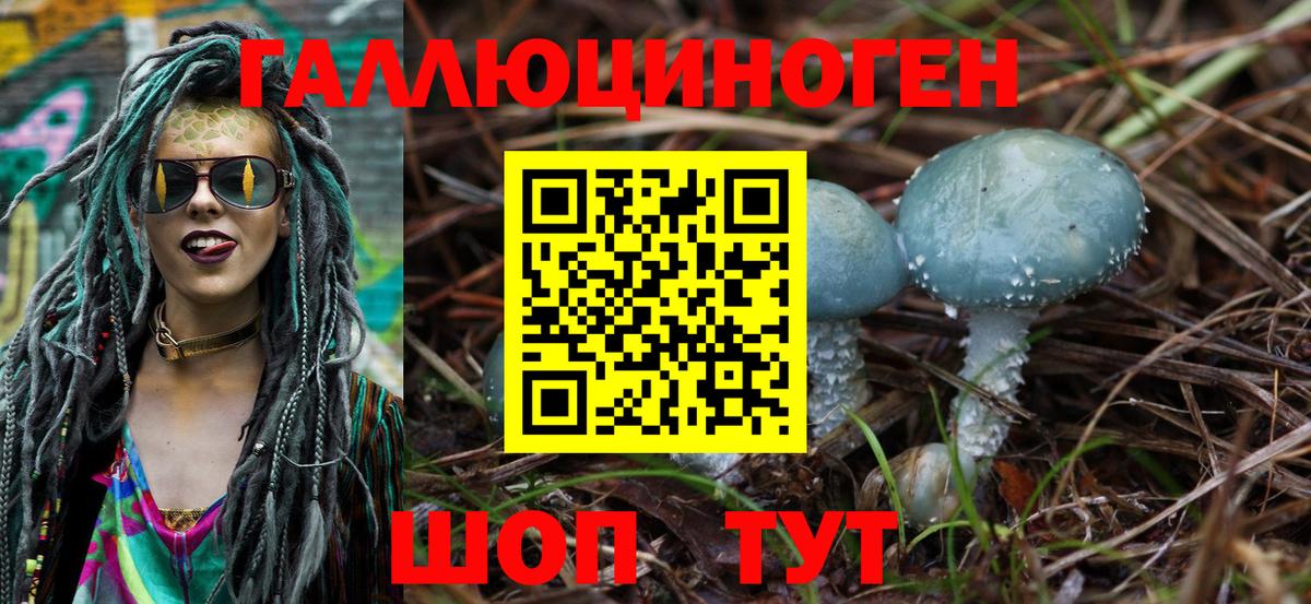 Псилоцибиновые грибы MAGIC MUSHROOMS  Вход с VPN  Новозыбков 