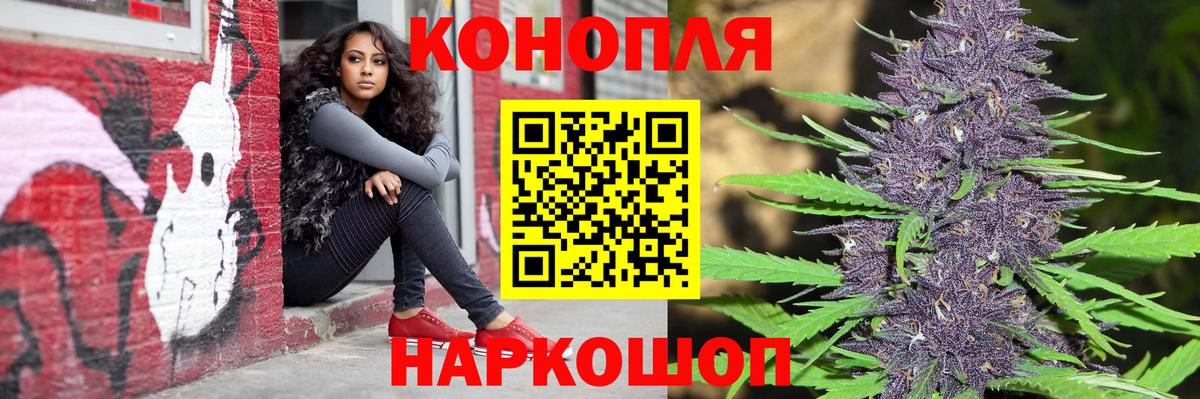 ГАШИШ Новозыбков