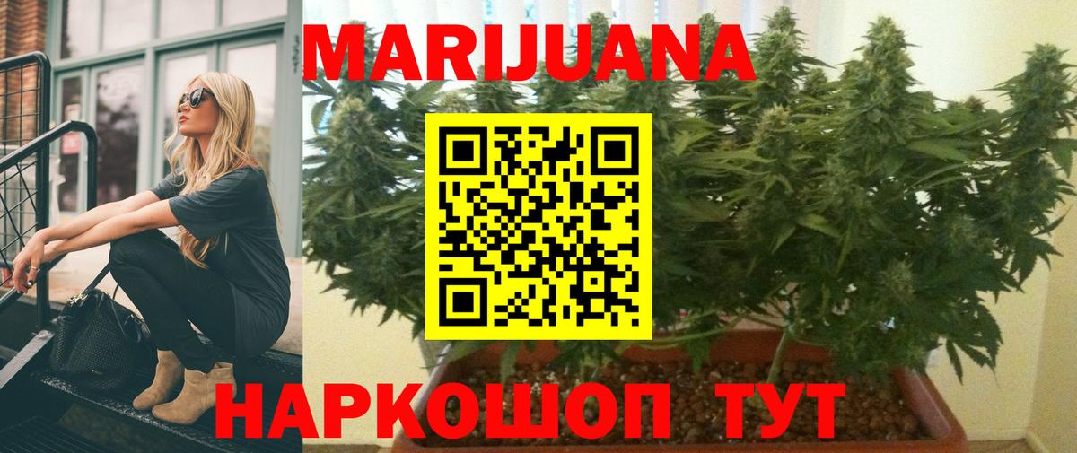 Новозыбков  МАРИХУАНА марихуана  Вход с VPN  Марихуана Amnesia 